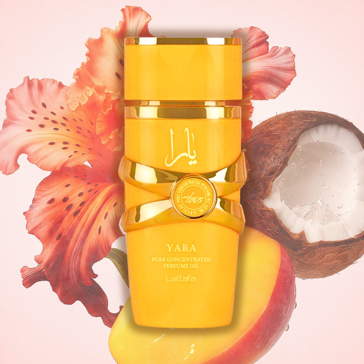 PEIGNOIR DE BAIN ÉPONGE 100% COTON, ROUGE, MIXTE, S/M, ORPHEEBS PEIGNOIR DE BAIN ÉPONGE 100% COTON, ROUGE, MIXTE, S/M, ORPHEEBS